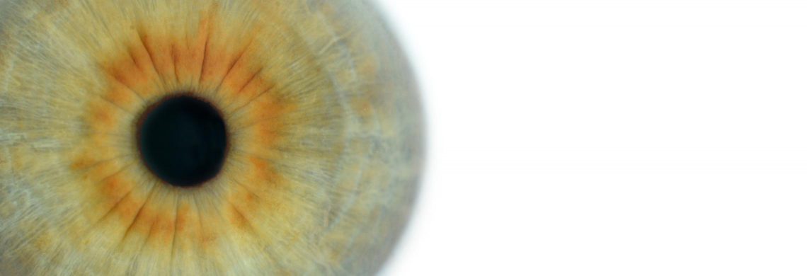 Larmoiement des yeux: 8 causes possibles - IRIS